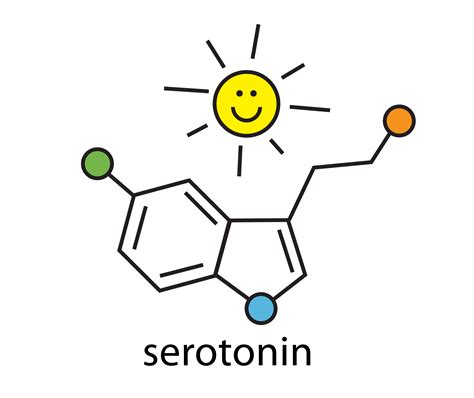 serotonin nedir